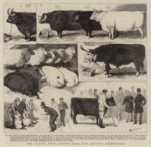 The Cattle Show, sai do nosso Sketch-Book do Artista
